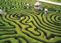 maze