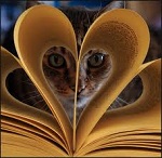 Cats and Books in Love