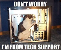 Technician Cat