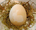 Easter Silhouette Egg Decorating