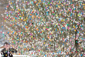 Volker Kraft 10,000 Easter Eggs